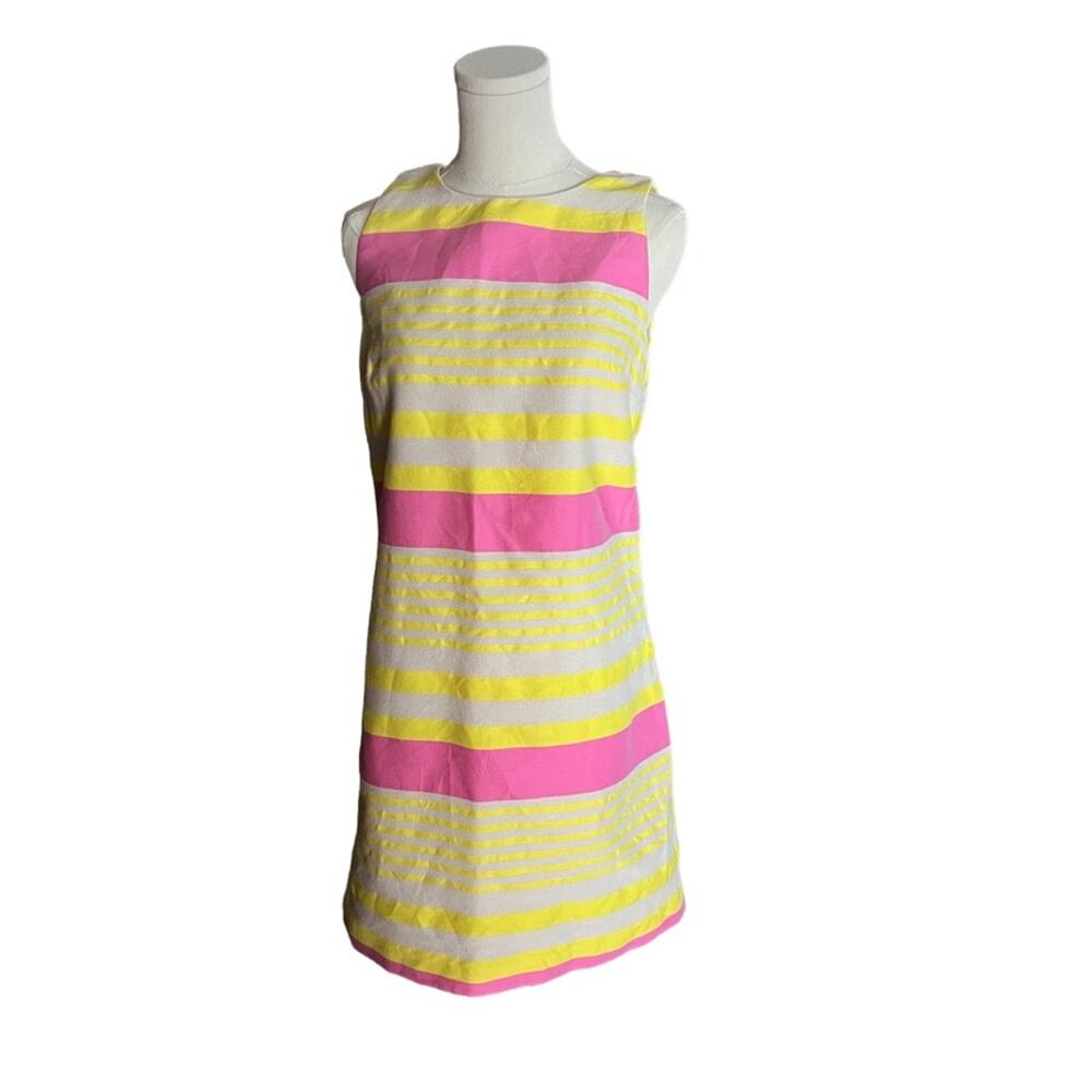 Ann Taylor Loft Corded Dobby Striped Sleeveless Shift Dress Barbiecore  Size 8